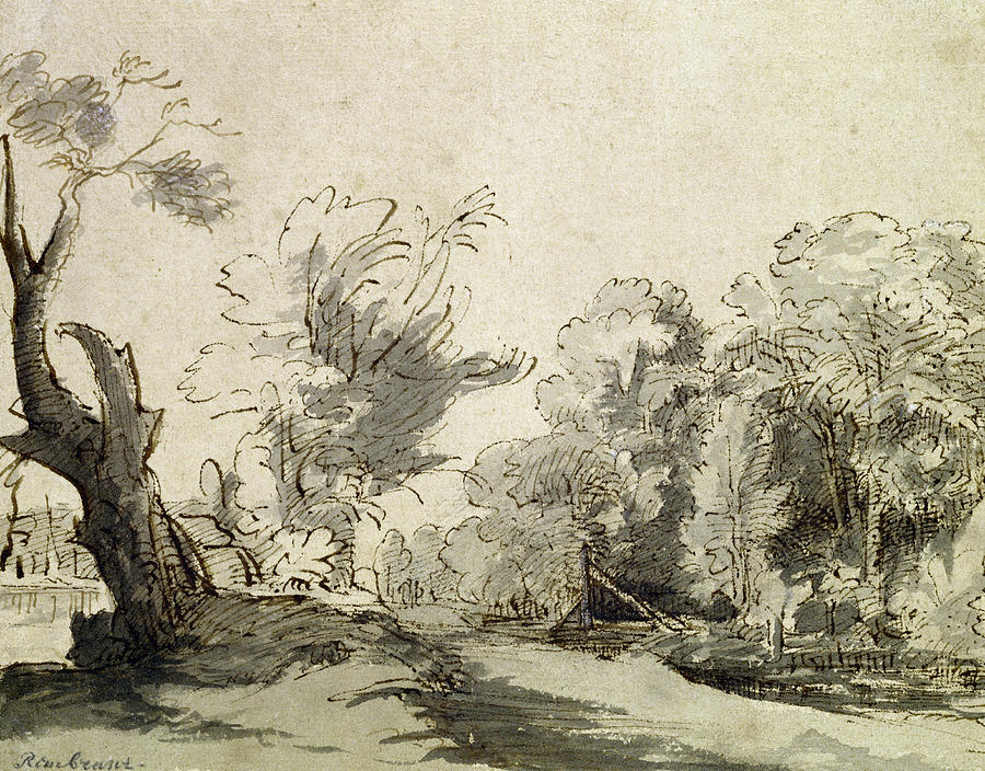 900x704 Landscape With A Path, An Almost Dead Tree On The Left - Farm Landscape Drawing