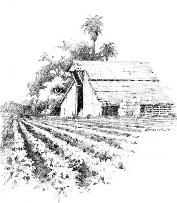 Farm Scene Drawing at Explore collection of Farm