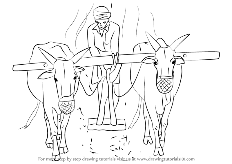 800x566 learn how to draw a farmer working in the farm - Farmer Drawing
