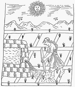 259x300 indian farmer drawings fine art america - Farmer Drawing Images