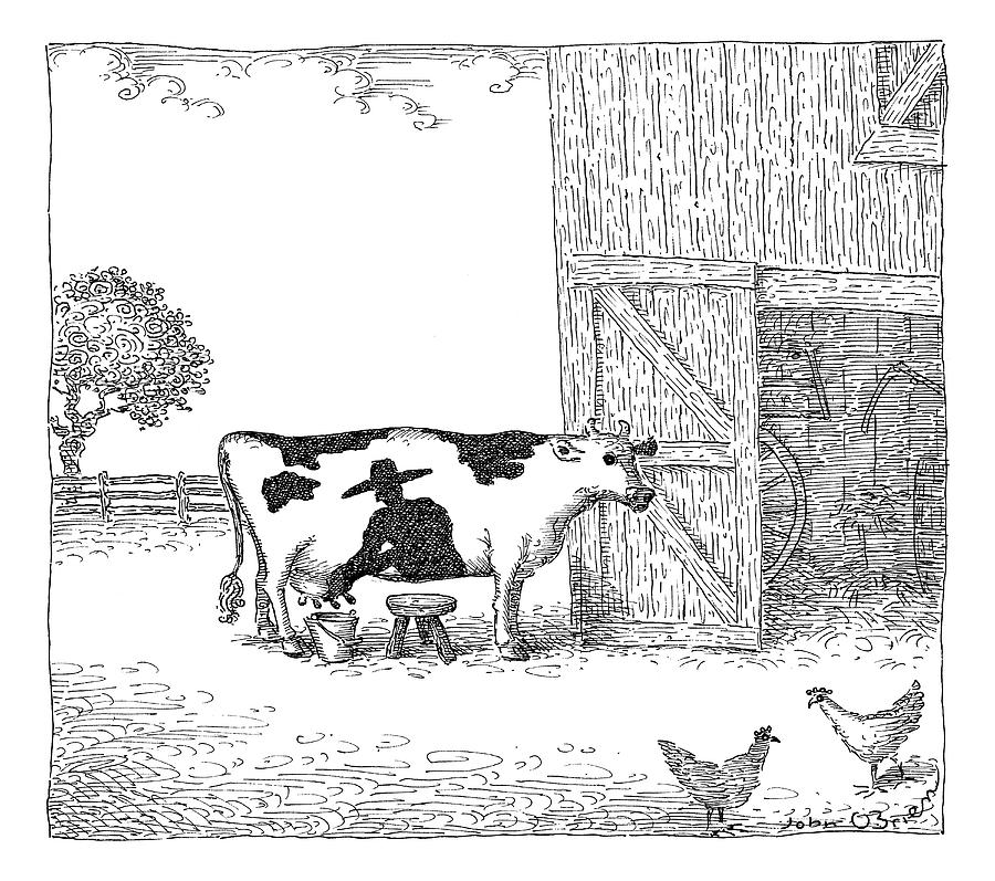 900x797 a cow has a spot that looks like a farmer drawing - Farmer Drawing Images