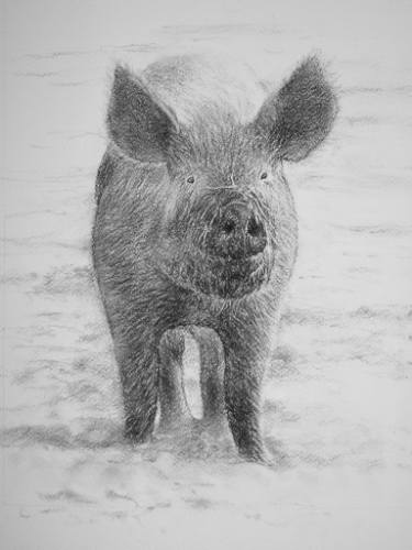 375x500 Farmland Drawings For Sale Saatchi Art - Farmland Drawing