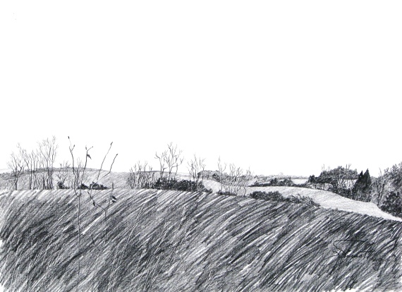 570x414 back to the basics drawing course joan vienot - Farmland Drawing