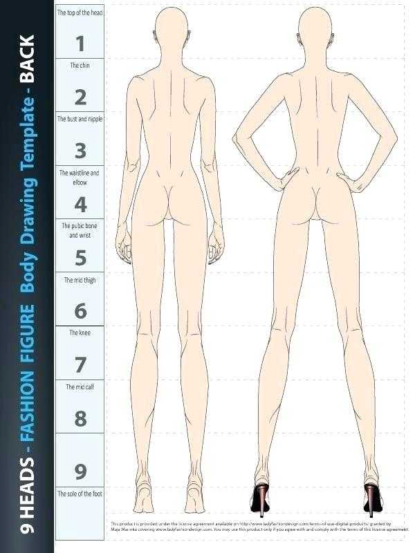 600x800 Human Body Drawing Template - Fashion Body Drawing