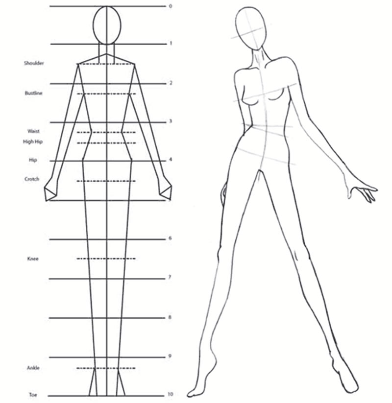 800x823 design and visual communication in textiles senior - Fashion Model Figure Drawing