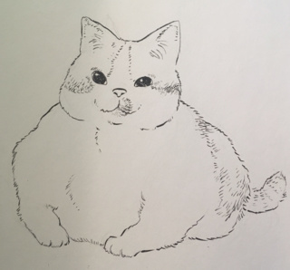 Sketch Cute Fat Cat Drawing ~ Drawing