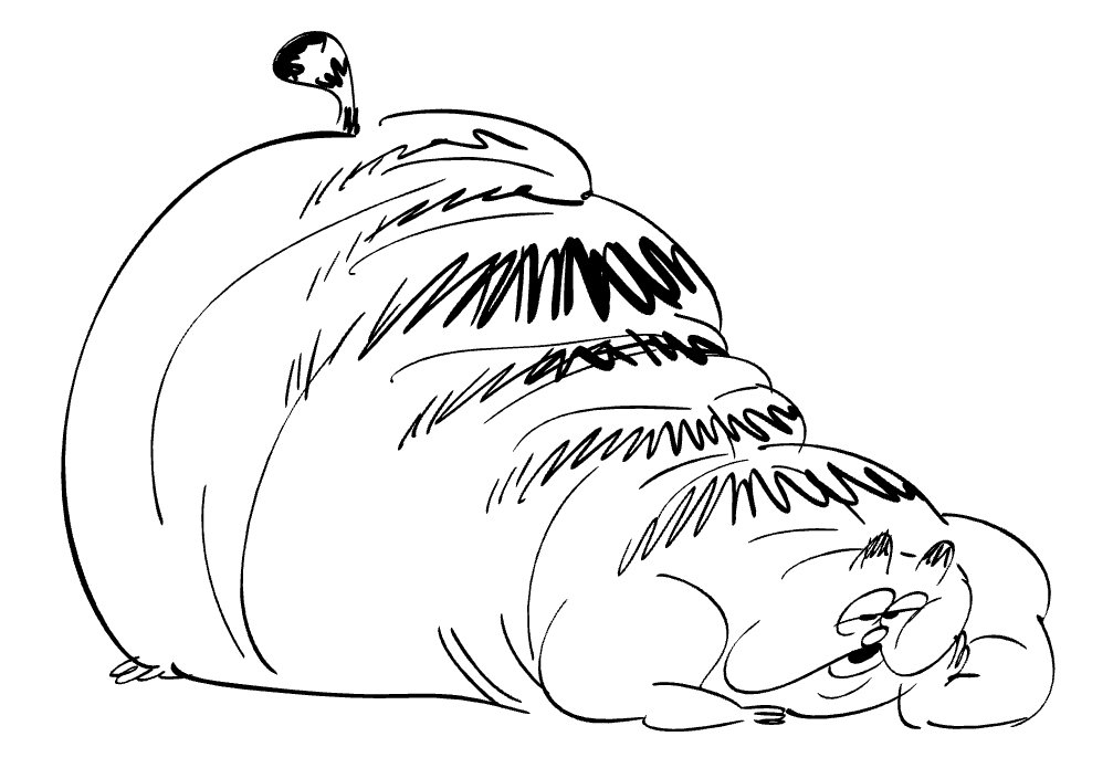 1007x695 adam paloian on twitter i stayed late to draw this fat - Fat Cat Drawing
