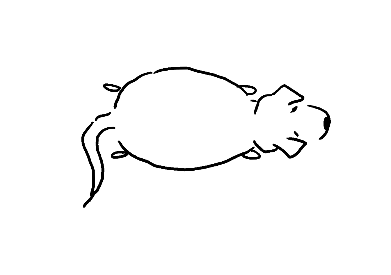 1344x946 fatdog and the calorie diet fatpeoplestories - Fat Dog Drawing