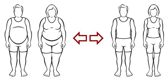 580x280 Fat Person Outline - Fat Person Drawing