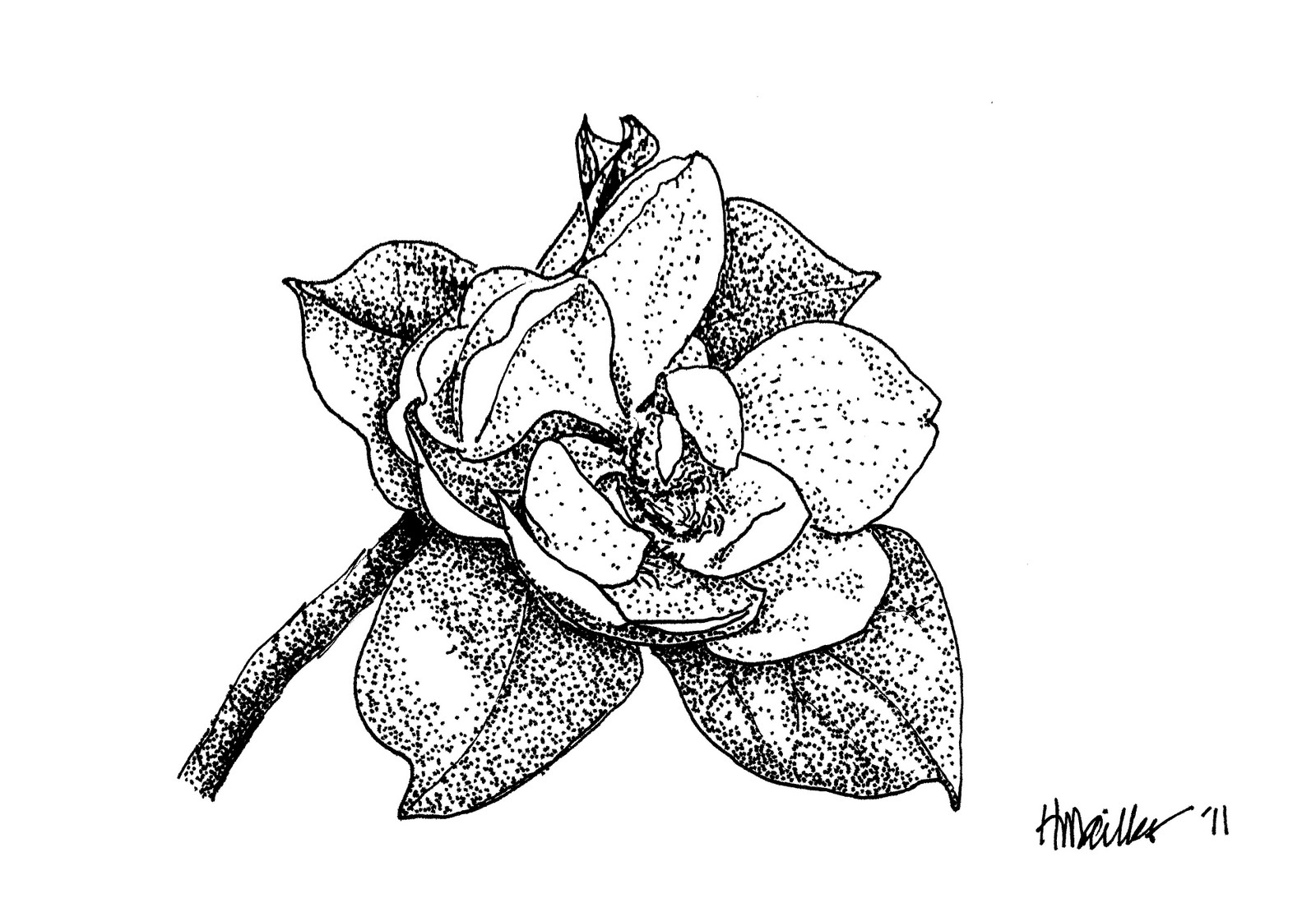 1600x1110 Holly's Daily Draw Happy Father's Day!! - Fathers Day Drawings