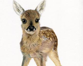340x270 fawn drawing etsy - Fawn Drawing