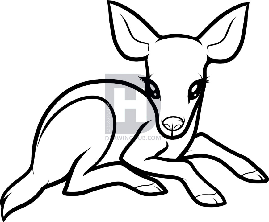871x720 how to draw a baby deer, baby deer, step - Fawn Drawing