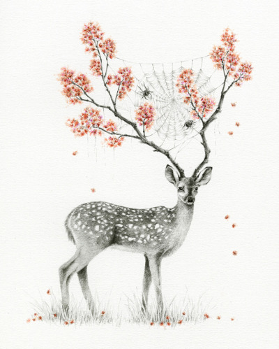 400x499 deer drawing tumblr - Fawn Drawing