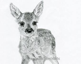 340x270 baby deer drawing etsy - Fawn Drawing
