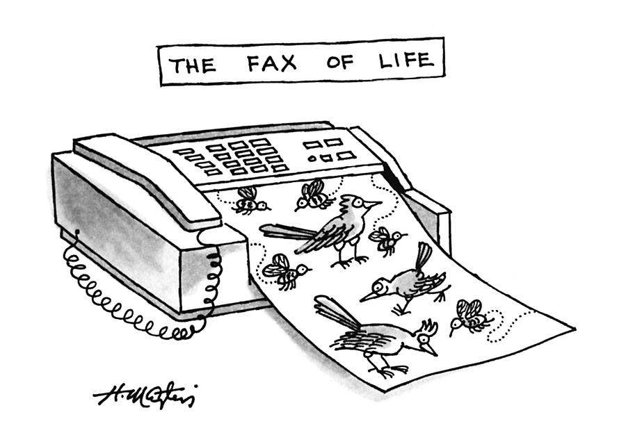 900x636 the fax of life - Fax Drawing