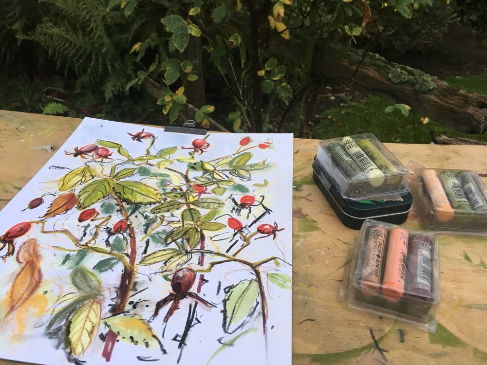 1000x750 drawing the fruits of the season a late summer feast for your - Feast Drawing