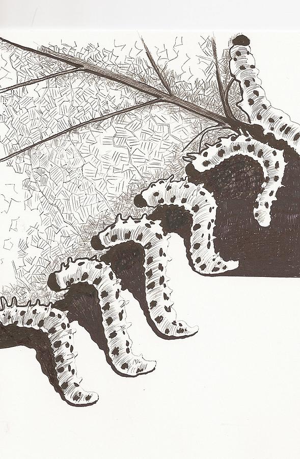 589x900 a furry feast drawing - Feast Drawing