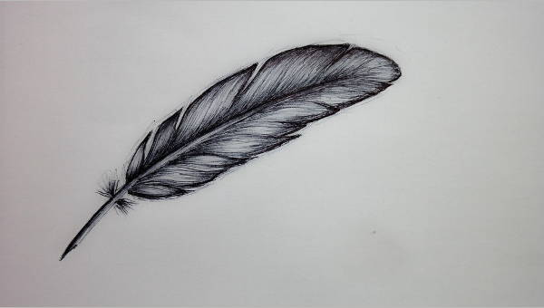 Falling Feather Drawing at PaintingValley.com | Explore collection of ...