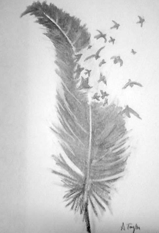 544x799 feather drawing artcrafthobby feather drawing, art, feather art - Feather Drawing