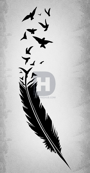 377x720 how to draw a black feather, black feather tattoo, step - Feather Drawing