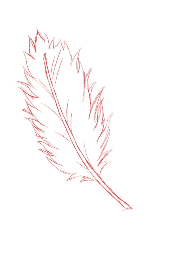 670x893 How To Draw A Feather Steps - Feather Drawing