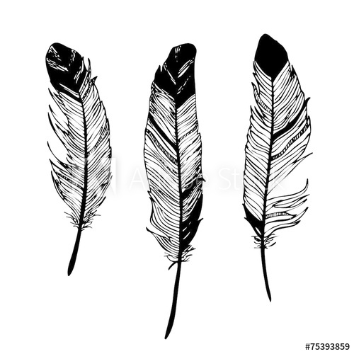 500x500 Feathers Black And White Graphic Drawing - Feather Drawing