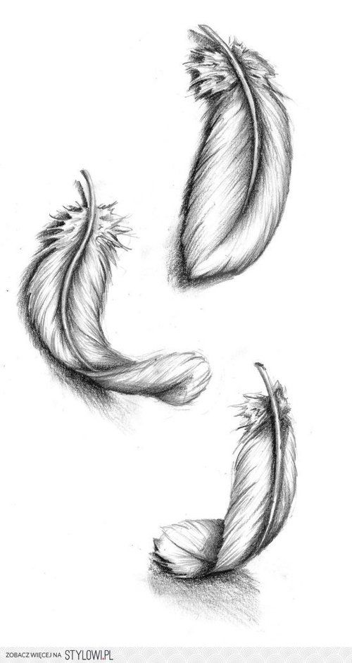 500x941 Feather Drawing, Pencil, Sketch, Colorful, Realistic Art Images - Feather Drawing
