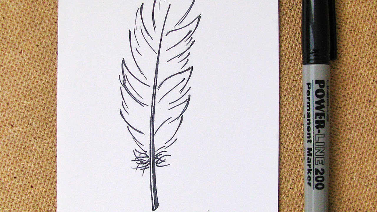 1280x720 How To Draw An Easy Feather - Feather Drawing Images