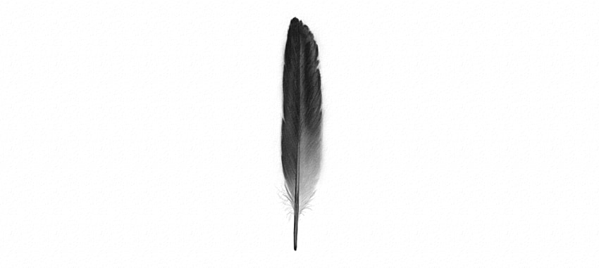 850x381 How To Draw Feathers - Feather Drawing Images