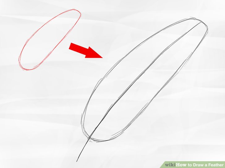 728x546 How To Draw A Feather Steps - Feather Drawing Images