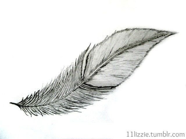 640x480 How To Draw Feather Drawings Craft Tutorials And Inspiration - Feather Drawing Images