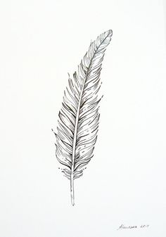 236x337 feather line drawing morgue feather drawing - Feather Drawing Images