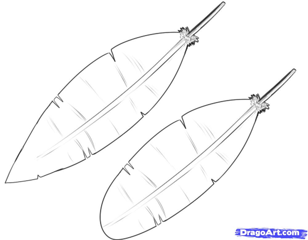 1000x780 How To Draw Feathers, Step - Feather Drawing Step By Step