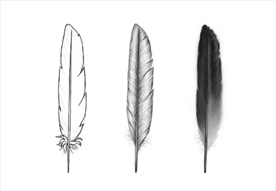 Feather Drawing Step By Step at PaintingValley.com | Explore collection ...