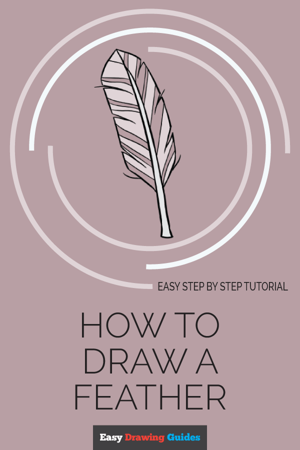 600x900 How To Draw A Feather - Feather Drawing Step By Step