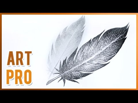 480x360 How To Draw A Feather Step - Feather Drawing Step By Step