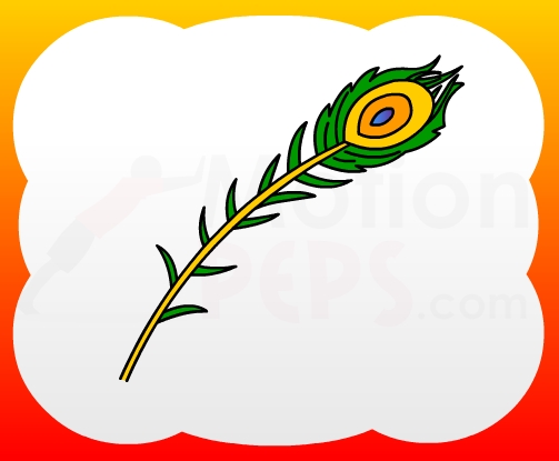 503x415 How To Draw Peacock Feather For Kids - Feather Drawing Step By Step