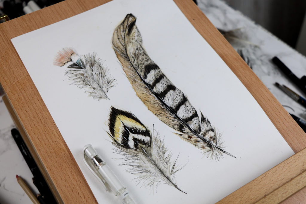 1024x683 Watercolour And Ink Feathers Art Work Step - Feather Drawing Step By Step
