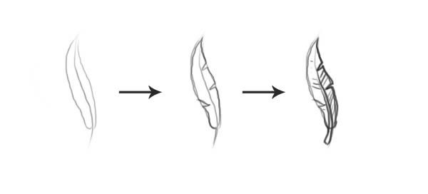 600x272 simple feather creature drawings in feather drawing - Feather Drawing Step By Step
