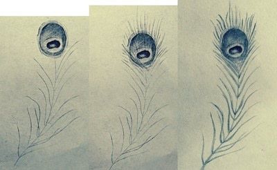 400x246 how to draw a peacock feather how to draw a feather drawing - Feather Drawing Step By Step