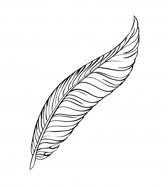 553x615 Feather Line Art Free Stock Photo - Feather Line Drawing