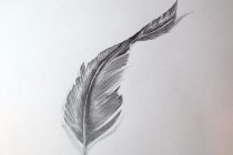 210x140 Tag Line Drawing Of A Feather - Feather Line Drawing