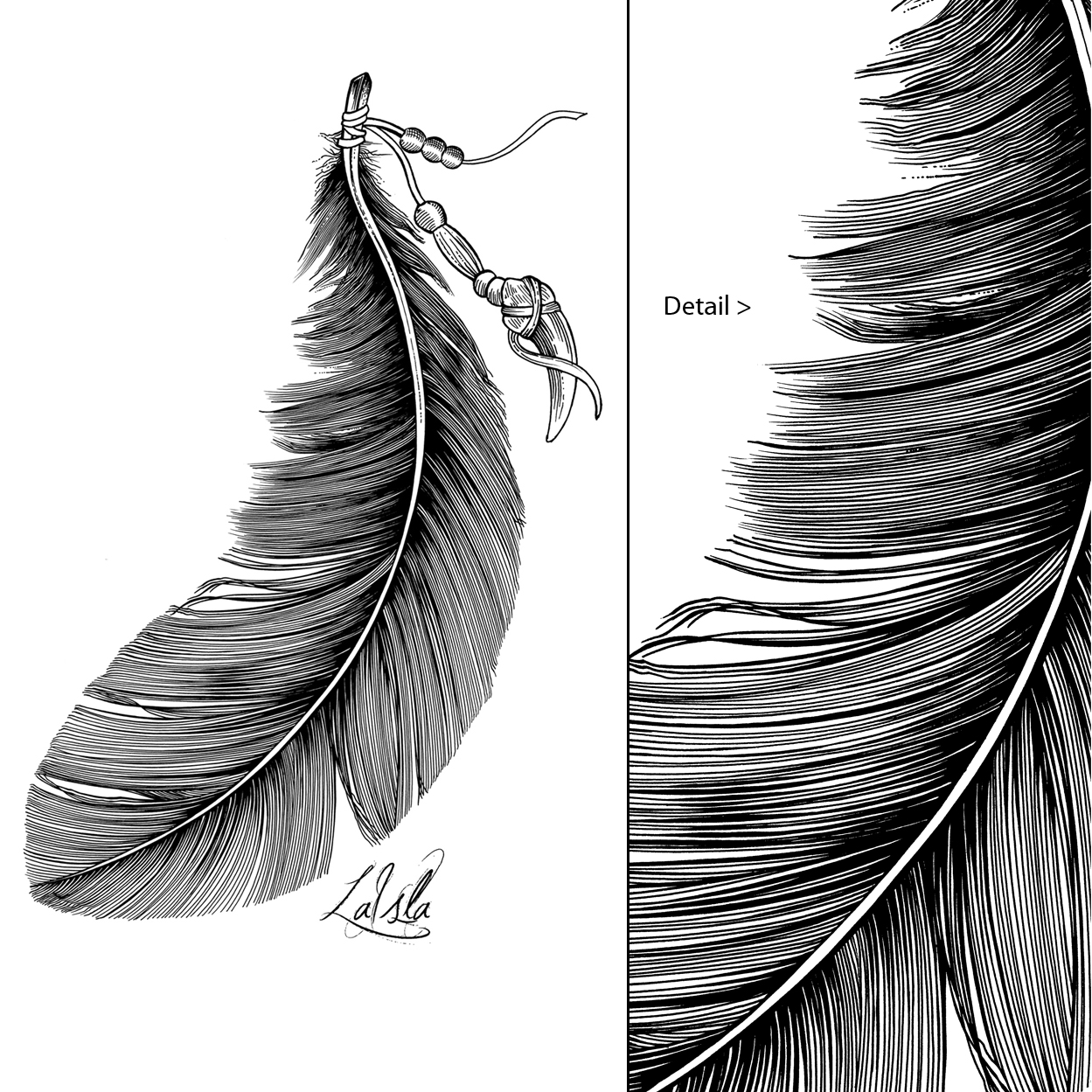 1249x1249 Thirsty Fly Feather - Feather Line Drawing
