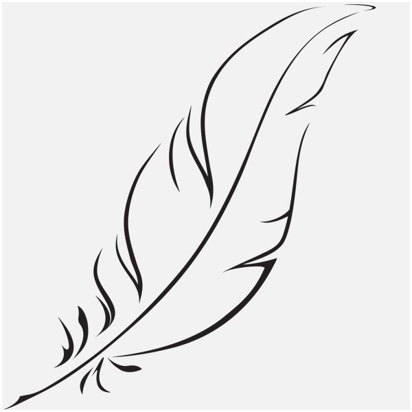 Feather Line Drawing at Explore collection of