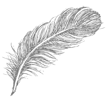 443x425 Collection Of Free Infinity Drawing Feather Download On Ui Ex - Feather Line Drawing