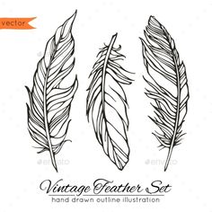 236x236 draw a feather crafty drawings, feather drawing, feather art - Feather Outline Drawing