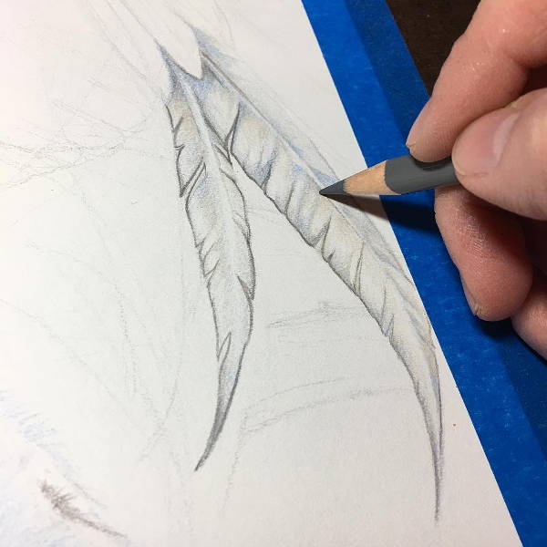 600x600 Feather Drawings - Feather Outline Drawing