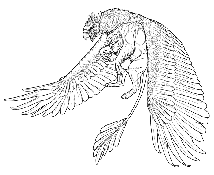 700x575 How To Draw A Griffin - Feather Outline Drawing