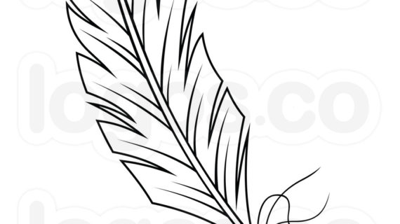 Download Feather Outline Drawing at PaintingValley.com | Explore ...