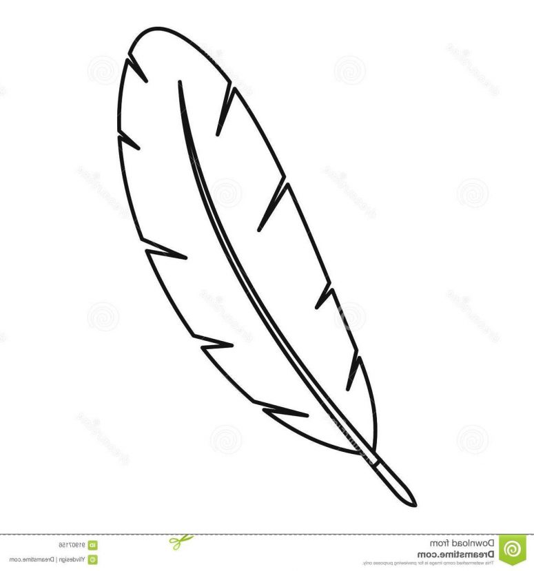 Feather Outline Drawing at PaintingValley.com | Explore collection of ...